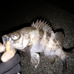 時合がハッキリ