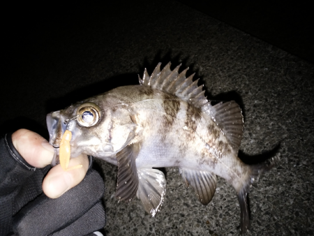 時合がハッキリ