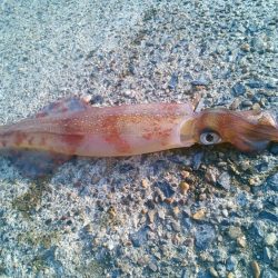 やっとヤり～に･・