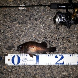 新規ポイントを開拓