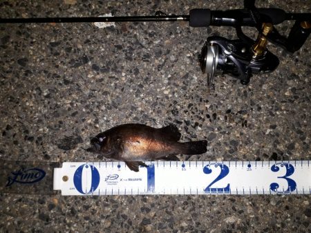 新規ポイントを開拓