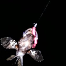 新規ポイントに、再チャレ～！