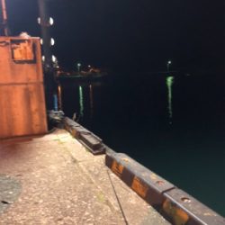 イカ釣りイカナイト