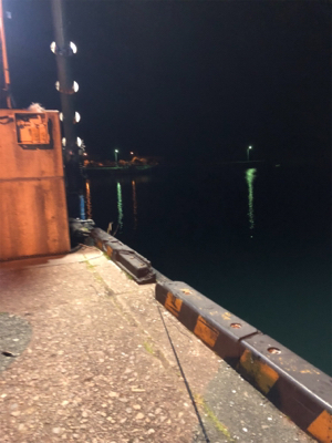 イカ釣りイカナイト