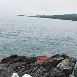 和歌山遠征 磯デビュー