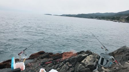 和歌山遠征 磯デビュー