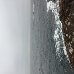 エギングおもろいっす