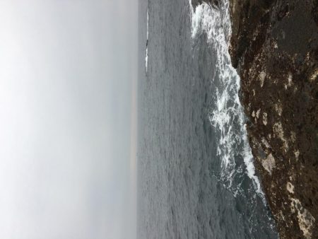 エギングおもろいっす