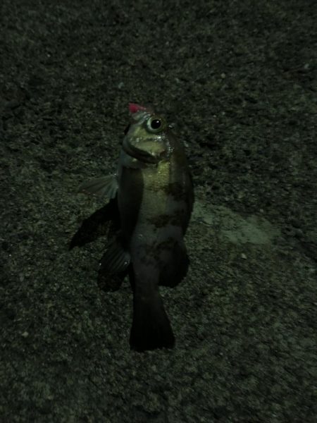 仕事終わりの癒し