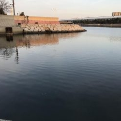 芦屋水道ライトゲーム