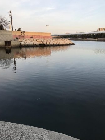 芦屋水道ライトゲーム