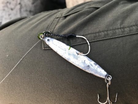 寒ボラが食べたい！