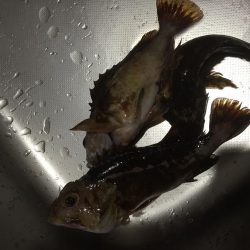 ライトライトライト