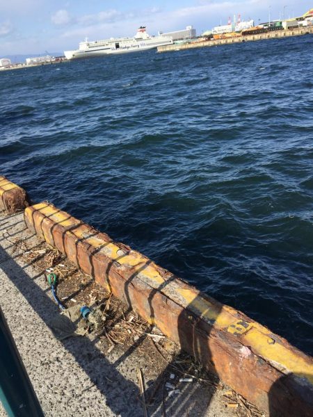 午後からエビ撒き釣り