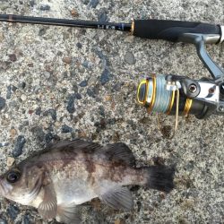 寒波の中休み？