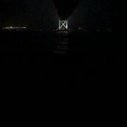 小雨の中イソメでぶっ込み釣り