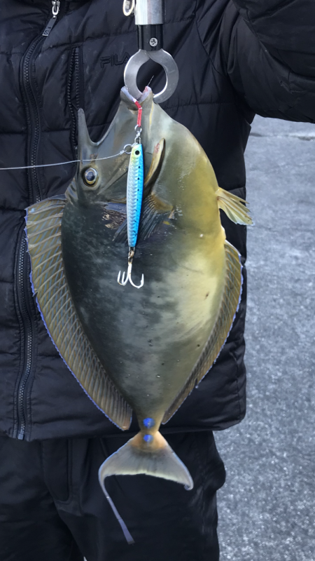 釣りやったーした