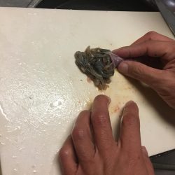 アタリは多い！