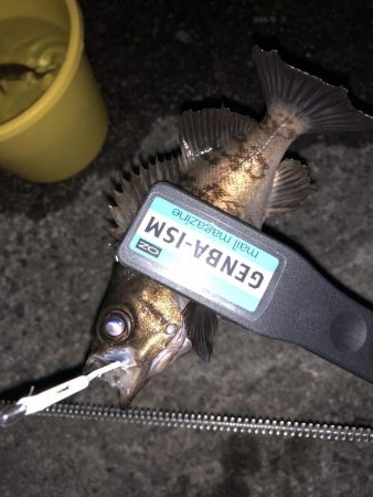 癒しのライトゲーム！