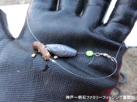 極寒落とし込み