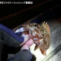 ライトゲーム日和