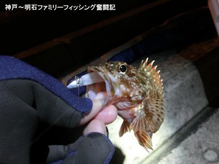 ライトゲーム日和