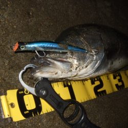 真冬から春のパターンへ