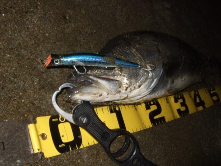 真冬から春のパターンへ