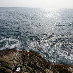 太地でグレ釣り