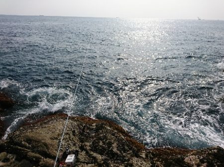 太地でグレ釣り