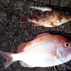 いい天気♪(´ε｀ )