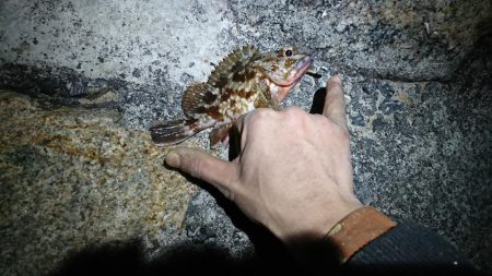 仕事終わりの釣果