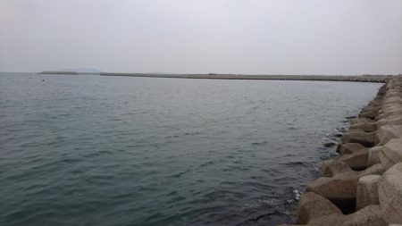 なんか釣れんかな