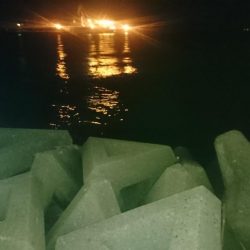 釣れませんね…