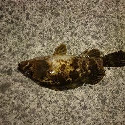 気温0℃でしたが…