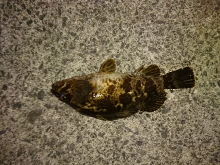 気温0℃でしたが…