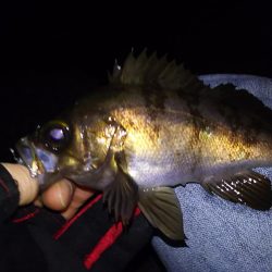 低潮位も高活性！