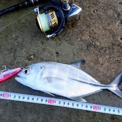 寒気が緩みトップで出ました。