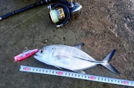 寒気が緩みトップで出ました。