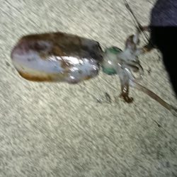 水温が低いので釣れたらいいけど！