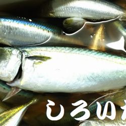 のんびりしてたら・・・。