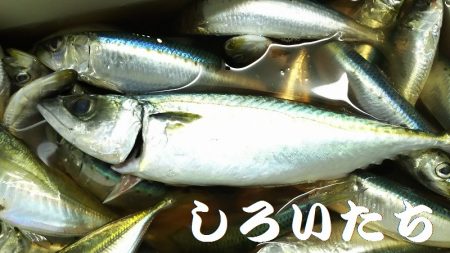 のんびりしてたら・・・。