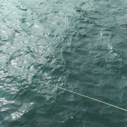 ここまできて、これだけか～