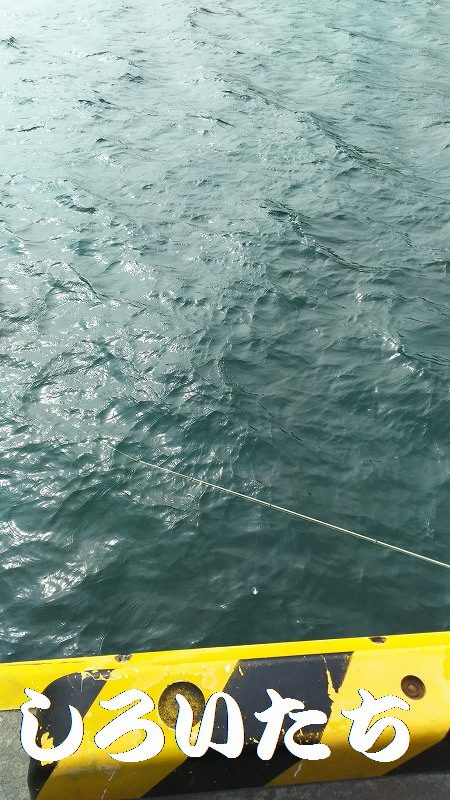 ここまできて、これだけか～