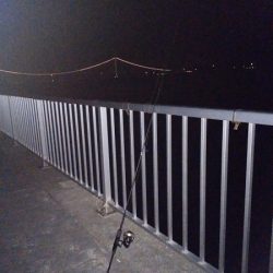 日ムラが激しすぎる…