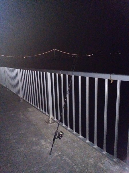 日ムラが激しすぎる…