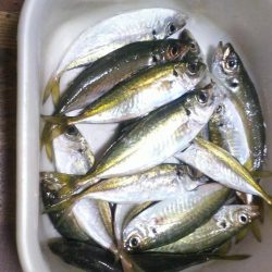 春の嵐前に強行してきました❗