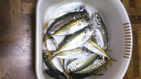 春の嵐前に強行してきました❗