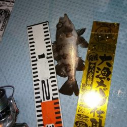 皆既月食ナイトメバルサビキ