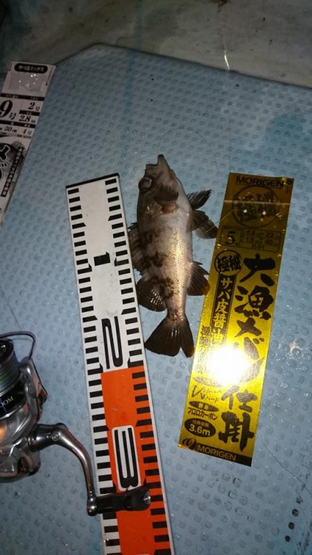 皆既月食ナイトメバルサビキ